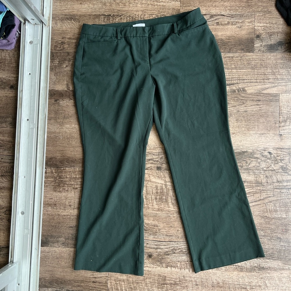 New York & Company Forest Green Pants